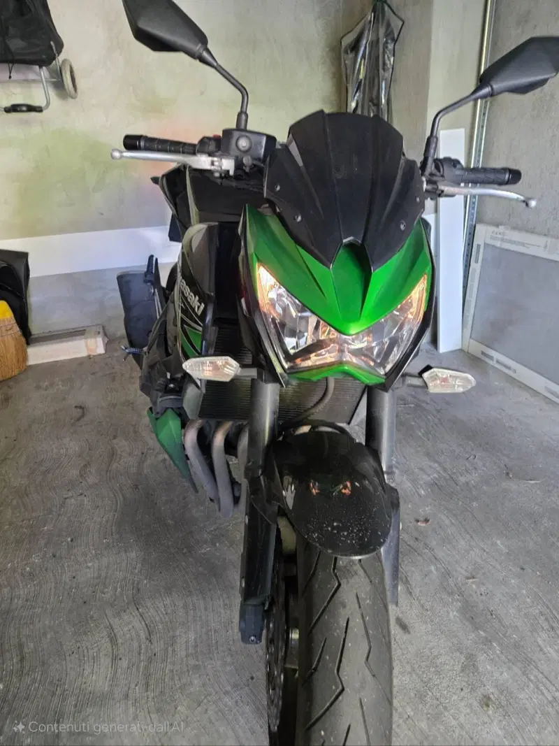 Kawasaki Z 800 (2012 - 13) (6)