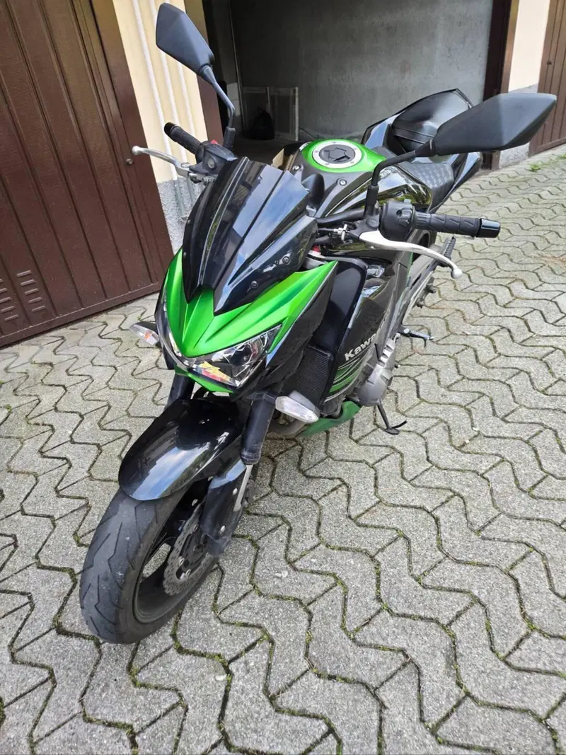 Kawasaki Z 800 (2012 - 13) (7)