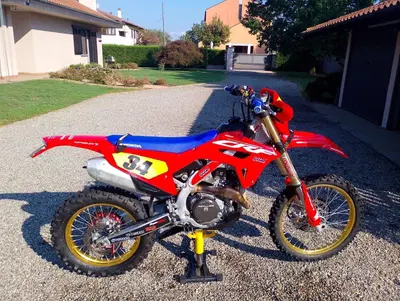 Honda CRF 450RX Enduro (2023) usata