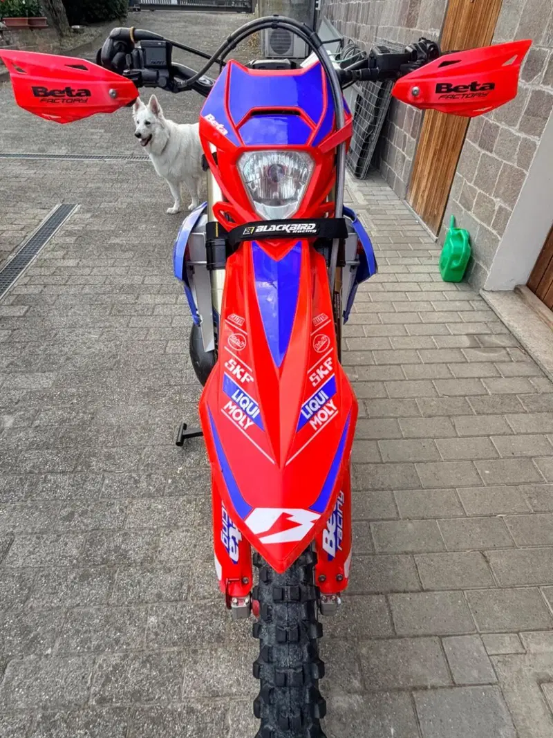 Betamotor RR 300 2T Enduro Racing (2023) (7)