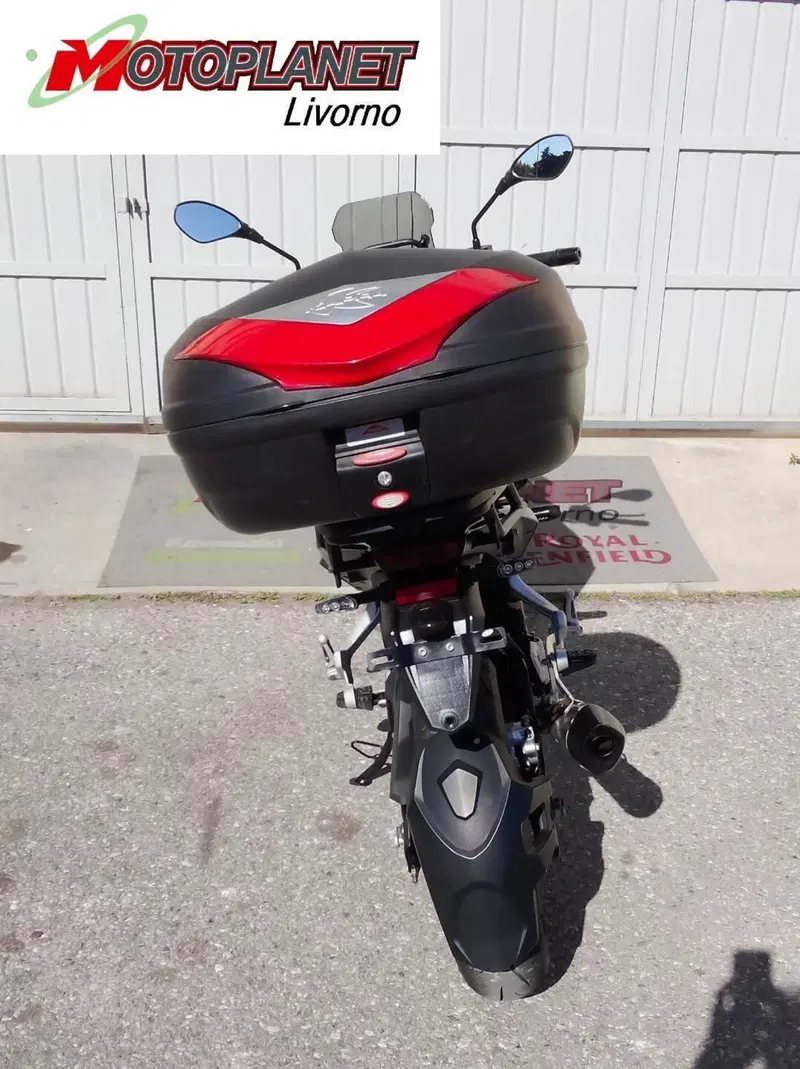 Benelli TRK 251 (2022 - 25) (6)
