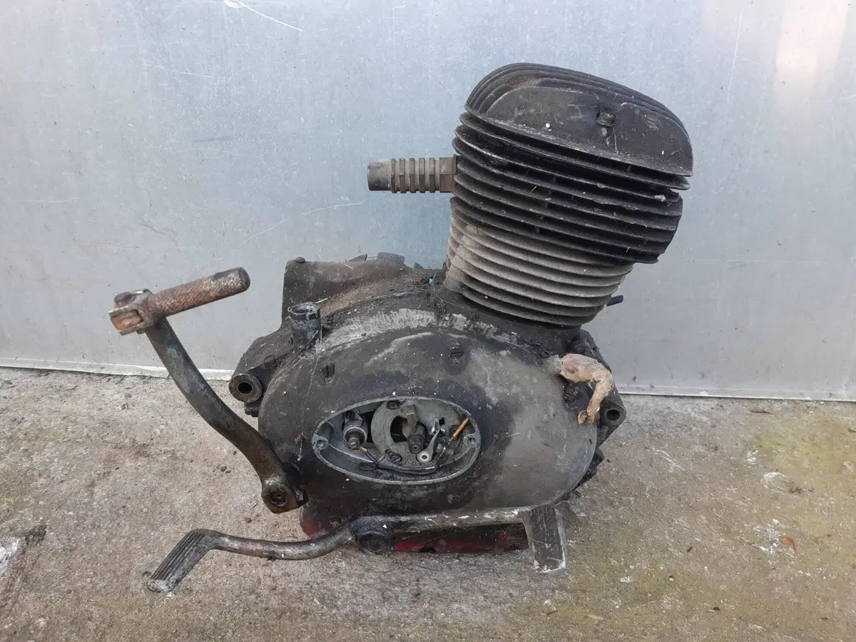 Motore Bianchi Bernina