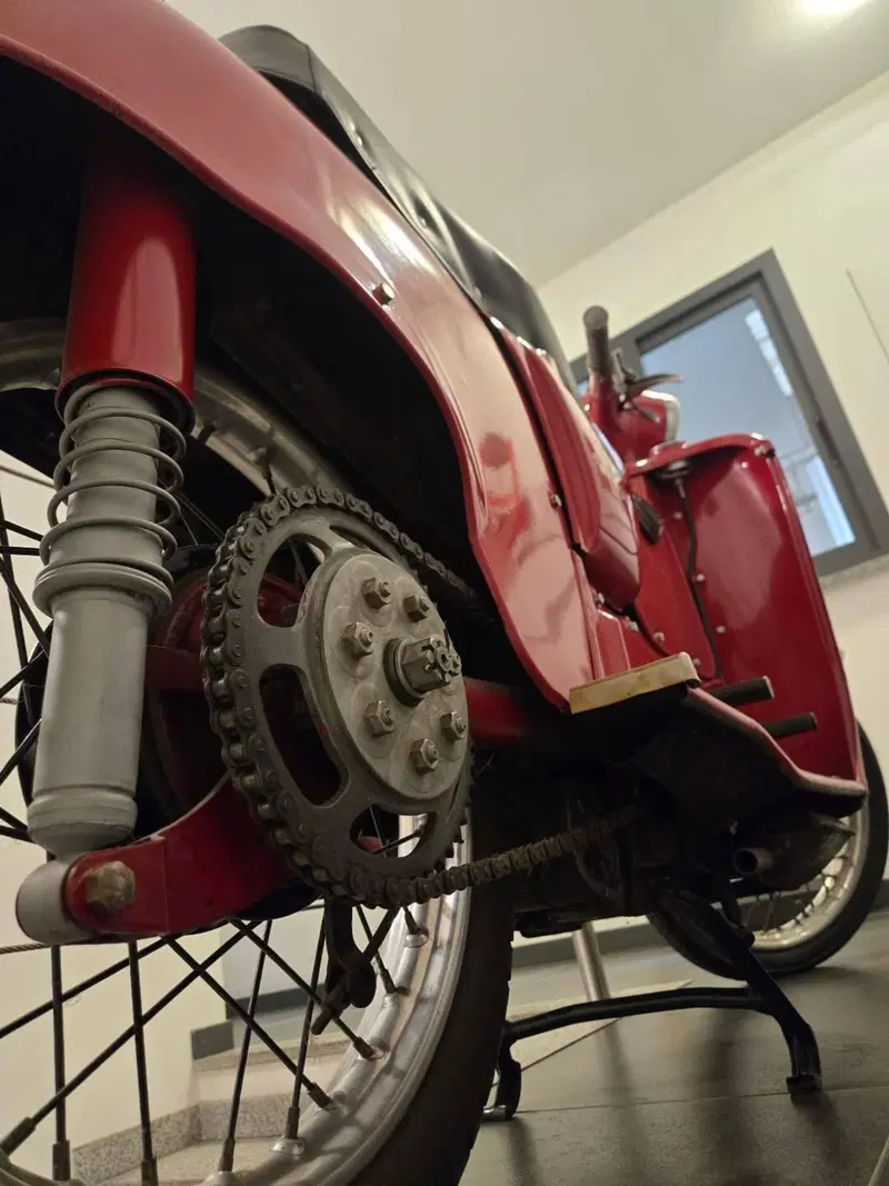 Moto Guzzi galletto 192 (6)