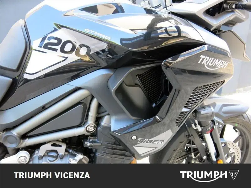Triumph Tiger 1200 GT Pro (2024 - 26) (6)