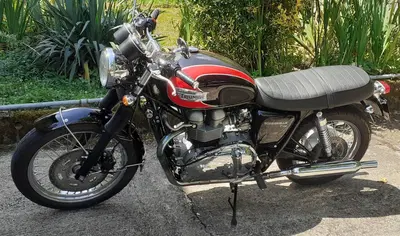 Triumph Bonneville T100 (2001 - 07) usata