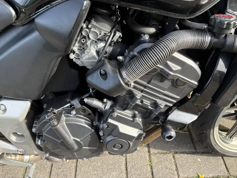 Honda CBF 600 (2004 - 06) (2)