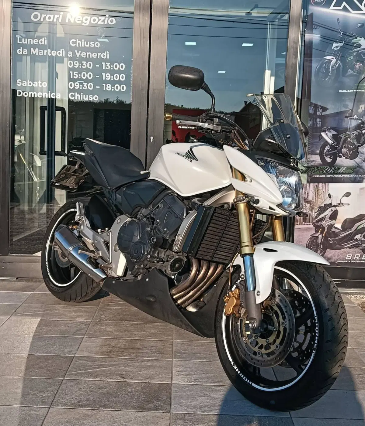Honda Hornet 600 (2007 - 10) (6)