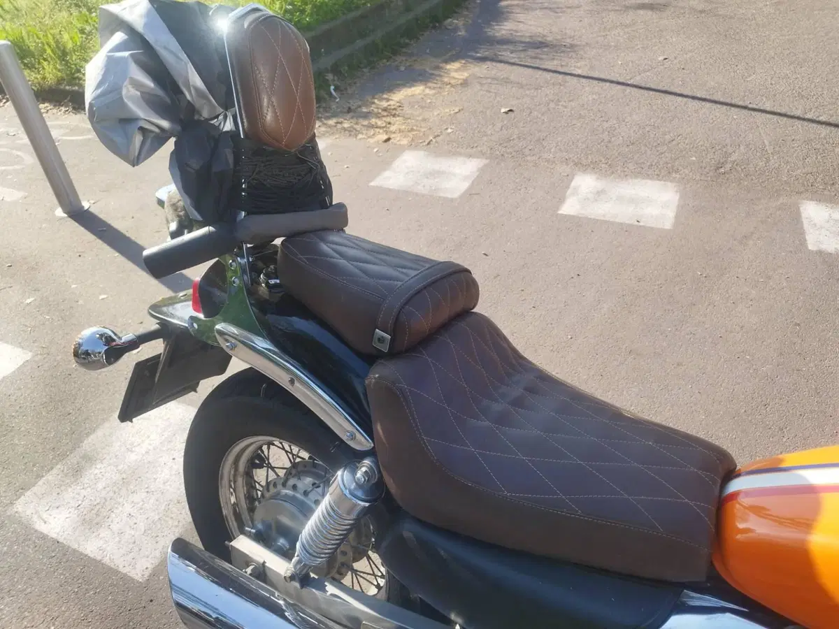 Kawasaki EL 252 (1997 - 03) (7)