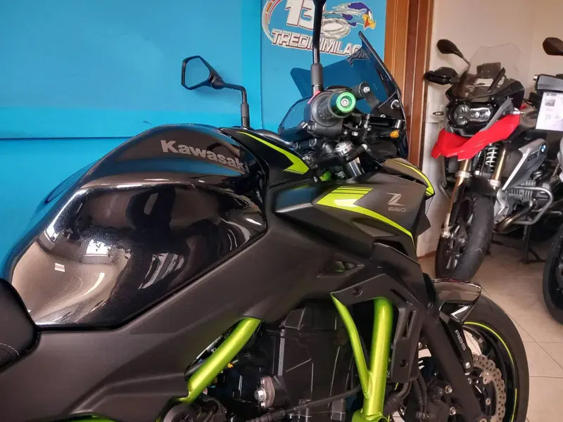 Kawasaki Z 650 (2021 - 24) (17)