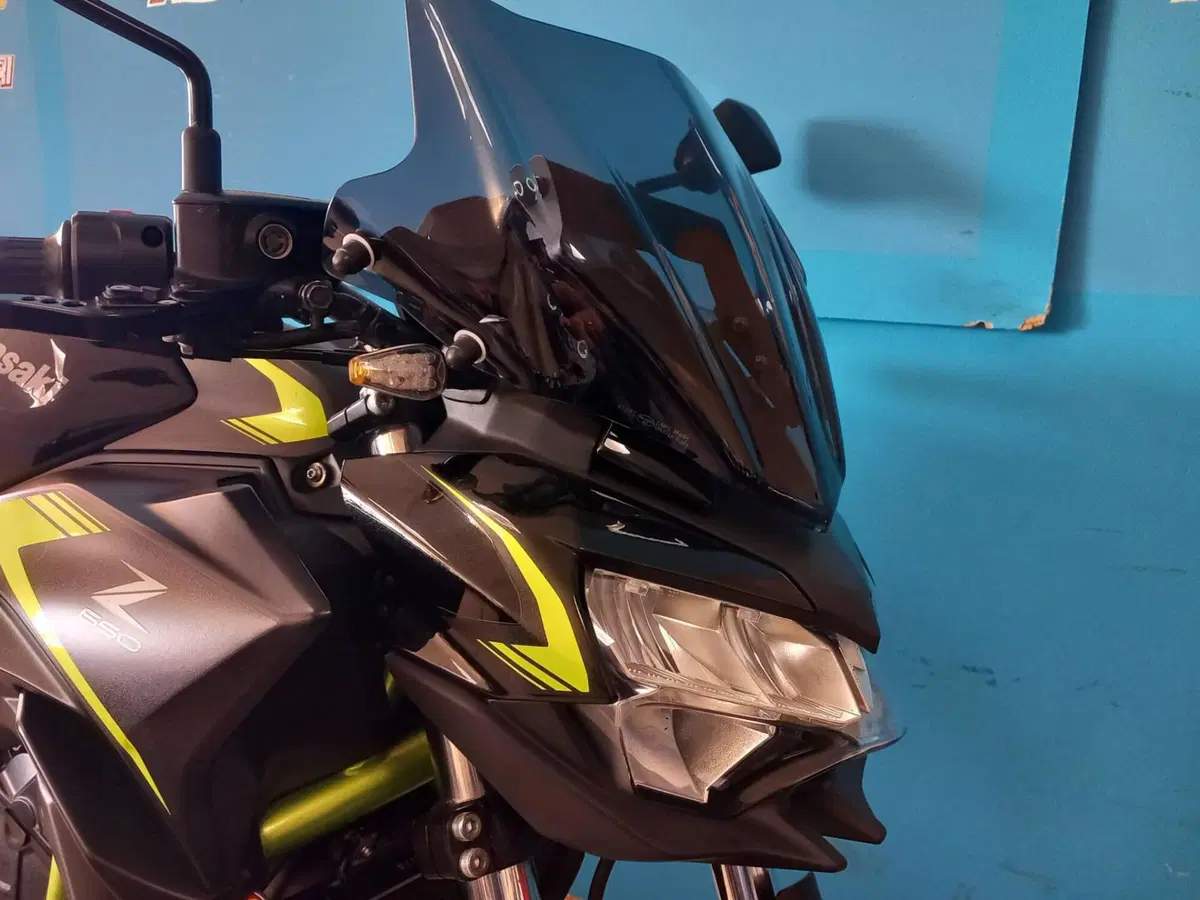 Kawasaki Z 650 (2021 - 24) (18)