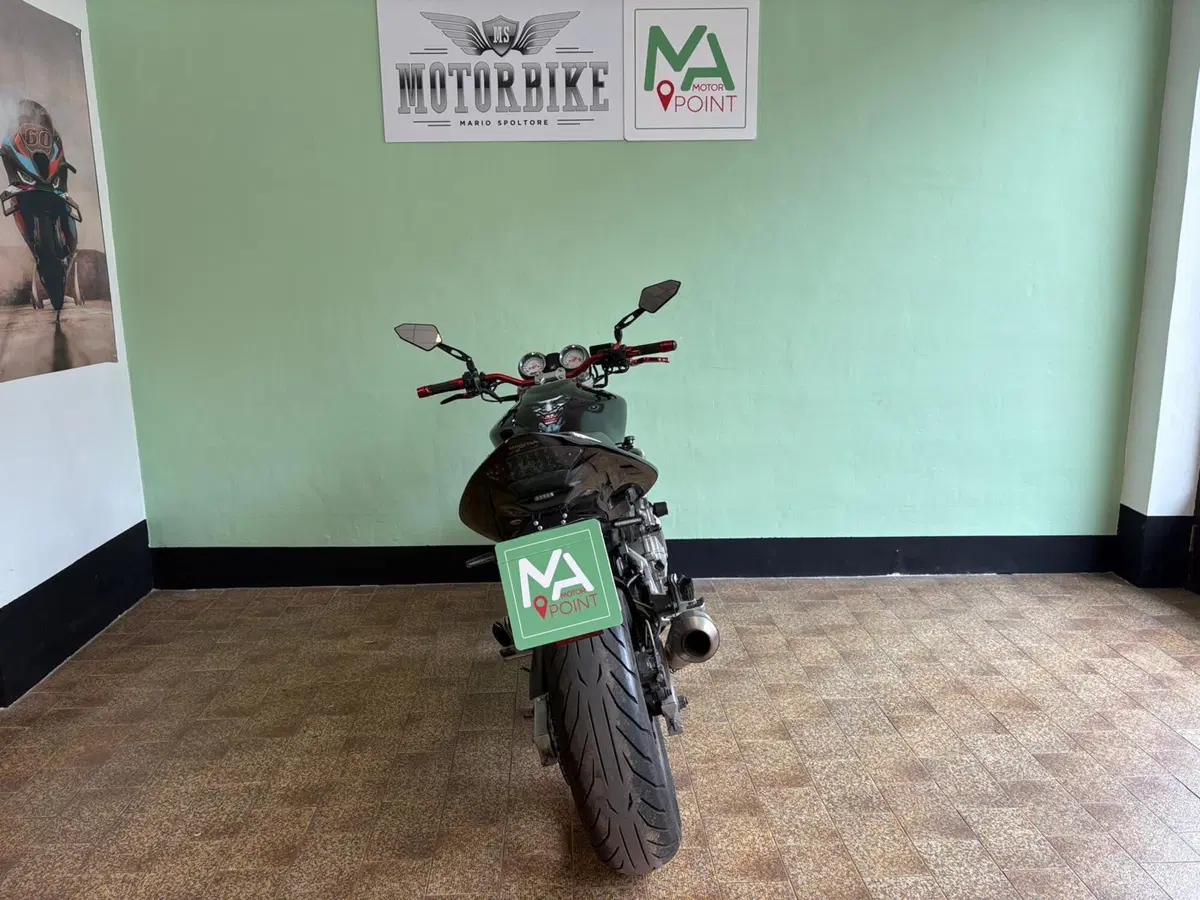 Honda Hornet 600 (2005 - 06) (4)