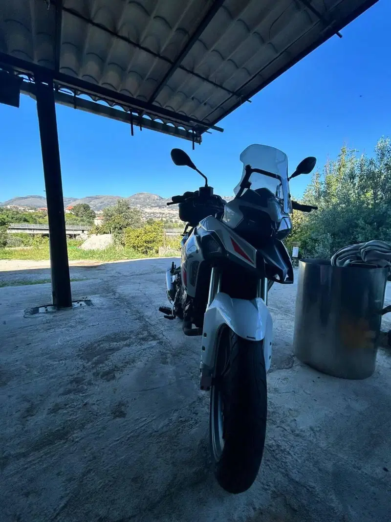 Benelli TRK 251 (2022 - 25) (2)