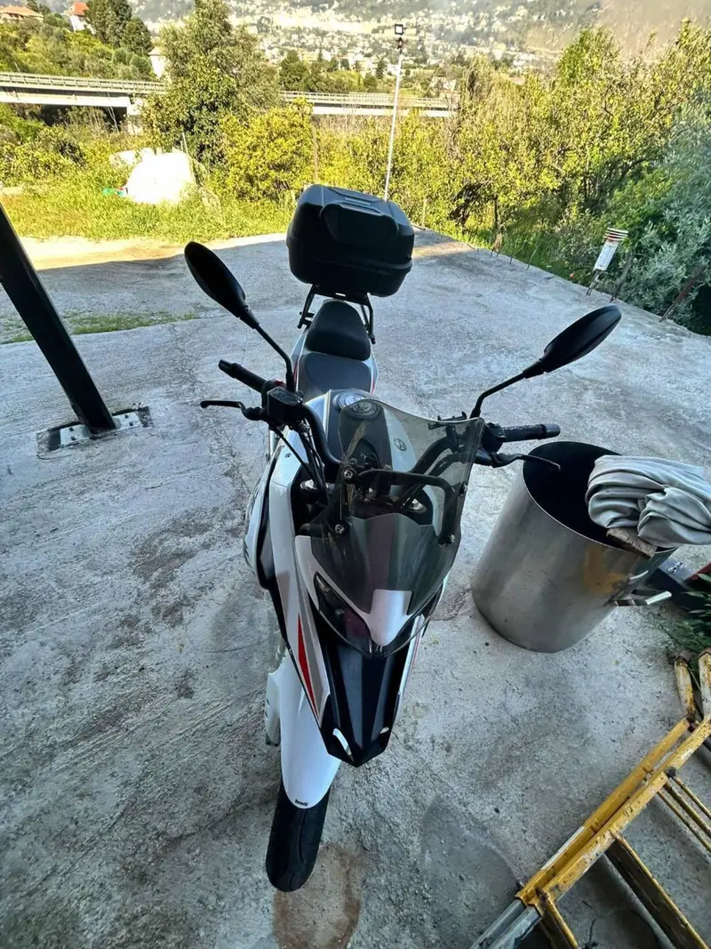 Benelli TRK 251 (2022 - 25) (6)