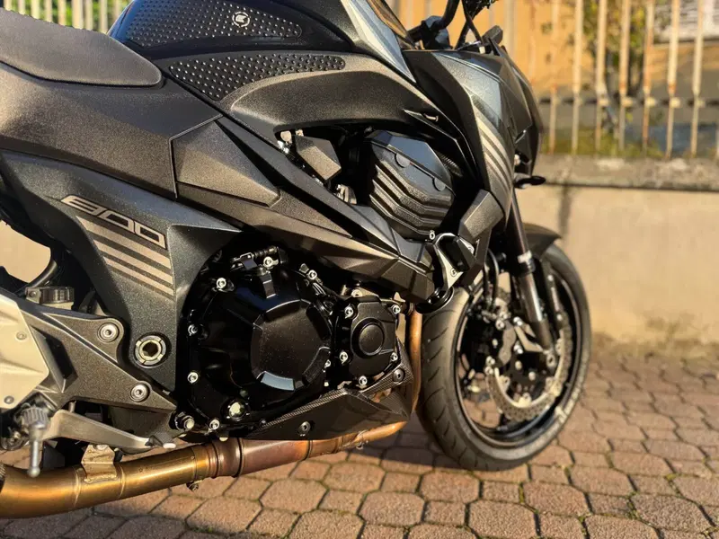 Kawasaki Z 800 e ABS (2012 - 16) (6)