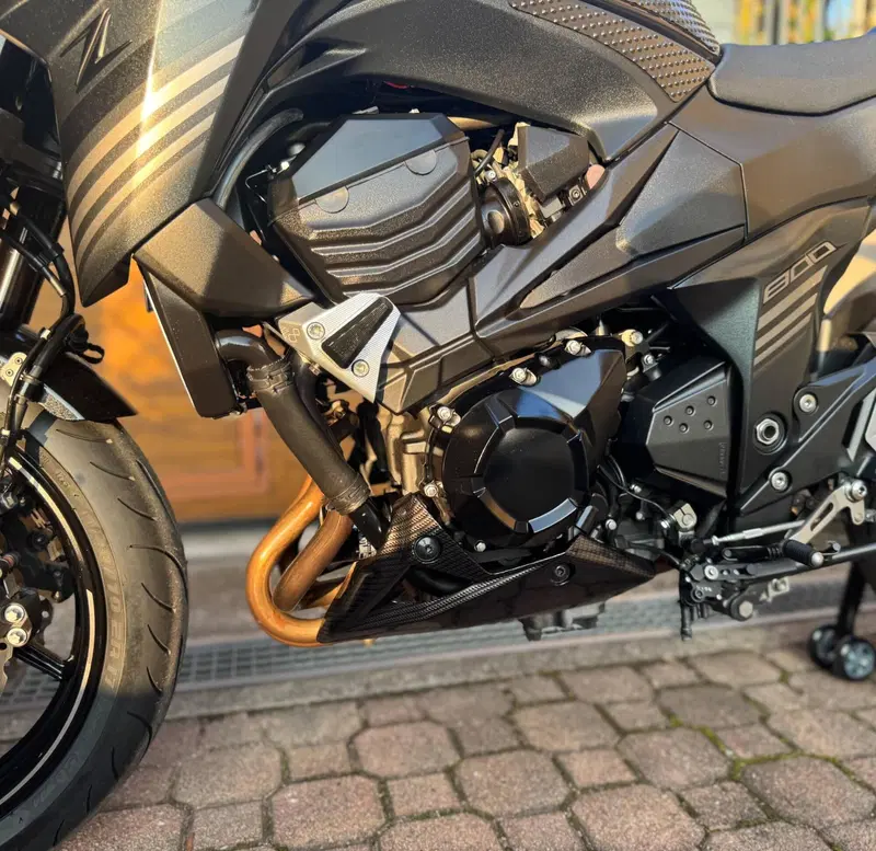 Kawasaki Z 800 e ABS (2012 - 16) (7)