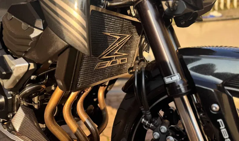 Kawasaki Z 800 e ABS (2012 - 16) (8)