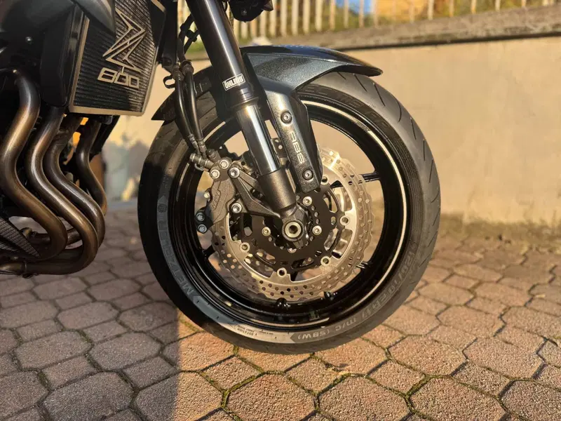 Kawasaki Z 800 e ABS (2012 - 16) (9)