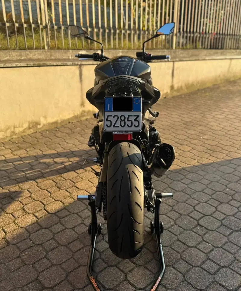 Kawasaki Z 800 e ABS (2012 - 16) (13)