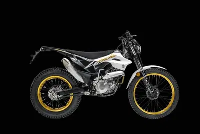  Altre moto o tipologie Special nuova