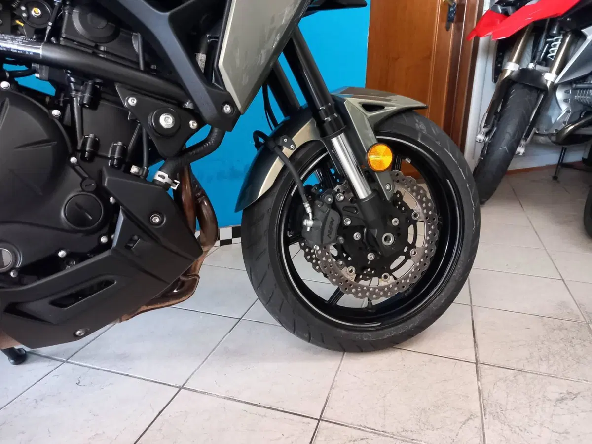 Kawasaki Versys 650 (2021 - 24) (17)