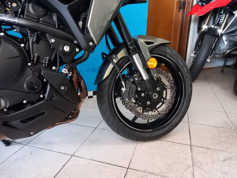 Kawasaki Versys 650 (2021 - 24) (17)