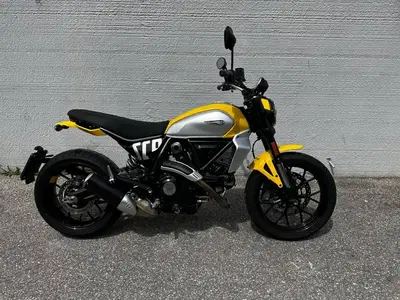 Ducati Scrambler 800 Icon (2023 - 24) usata