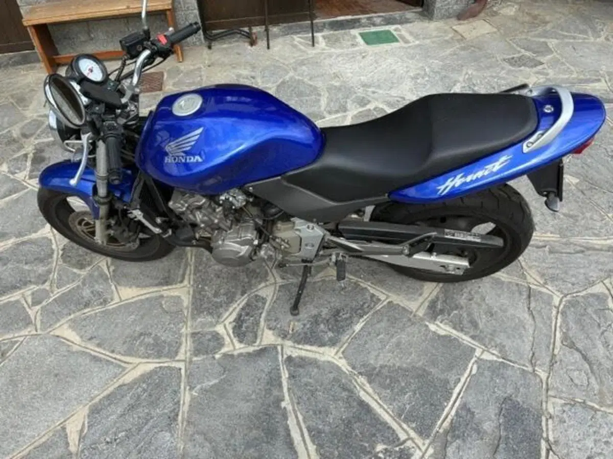 Honda Hornet 600 (2000 - 02) (2)