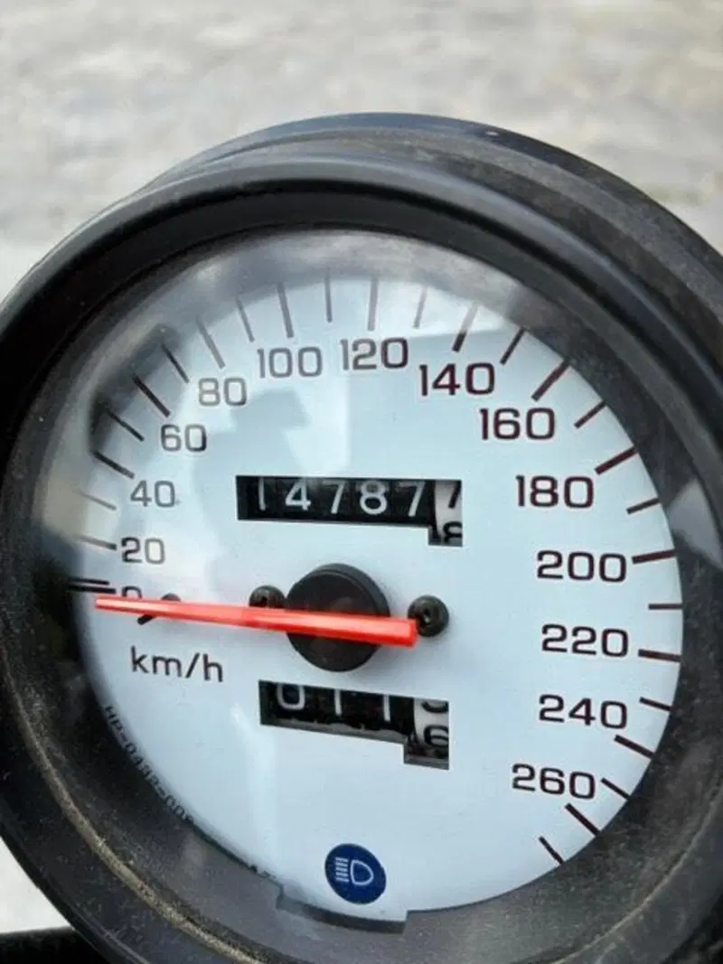 Honda Hornet 600 (2000 - 02) (5)
