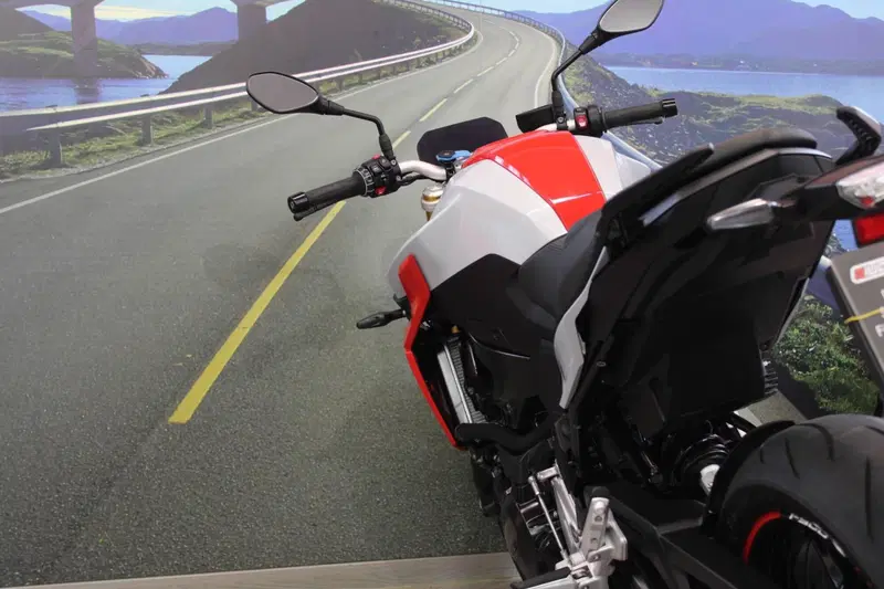 Bmw F 900 R (2017 - 20) (17)