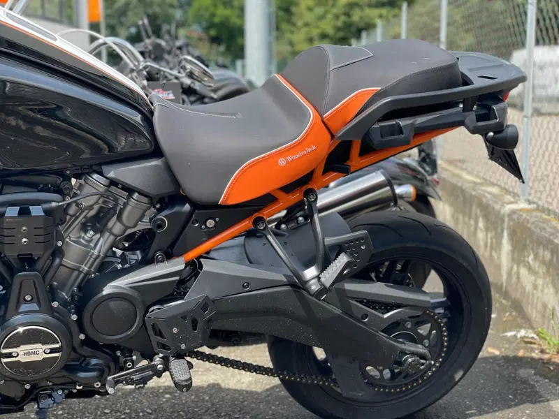 Harley-Davidson Pan America 1250 (2020 - 25) (8)