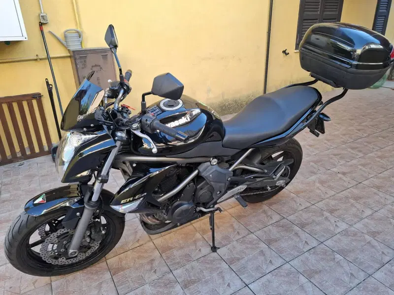 Kawasaki ER-6N (2009 - 11) (2)