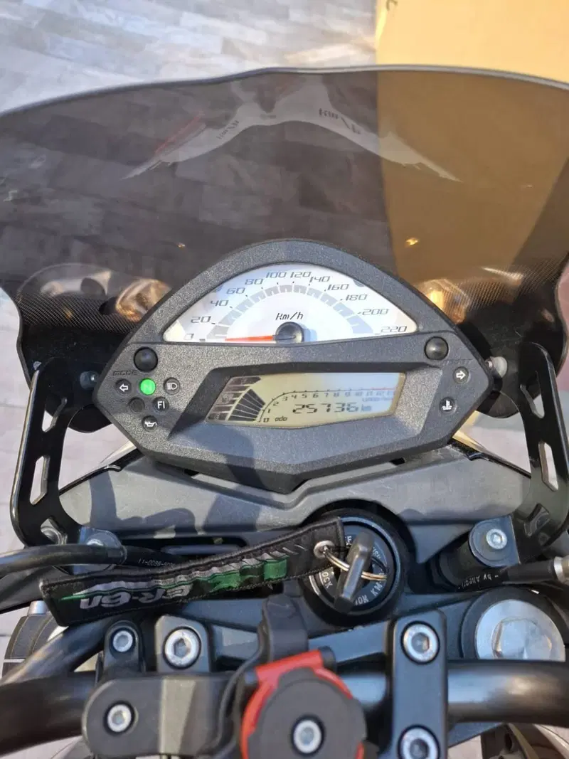 Kawasaki ER-6N (2009 - 11) (3)