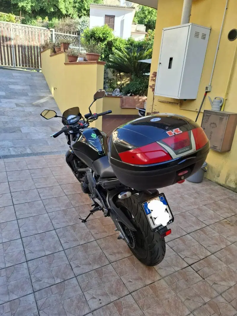 Kawasaki ER-6N (2009 - 11) (7)