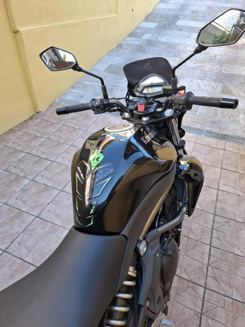 Kawasaki ER-6N (2009 - 11) (8)