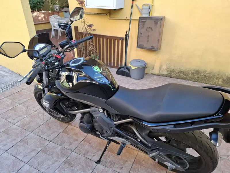 Kawasaki ER-6N (2009 - 11) (9)