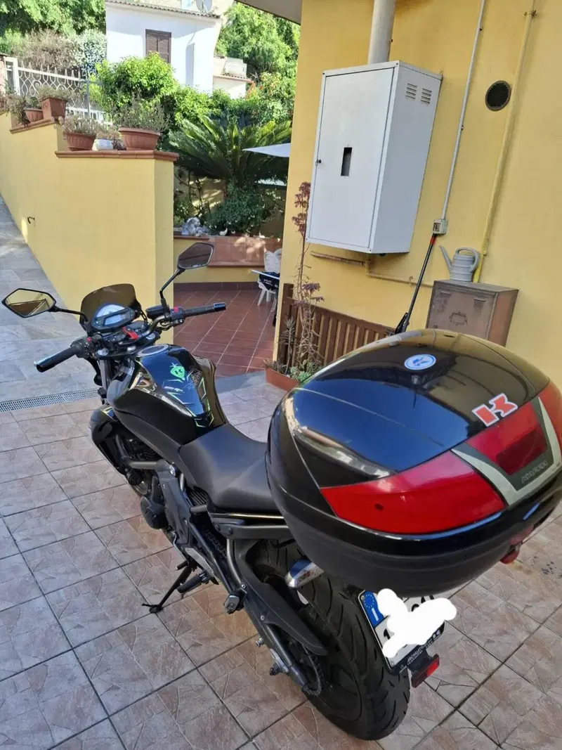 Kawasaki ER-6N (2009 - 11) (10)