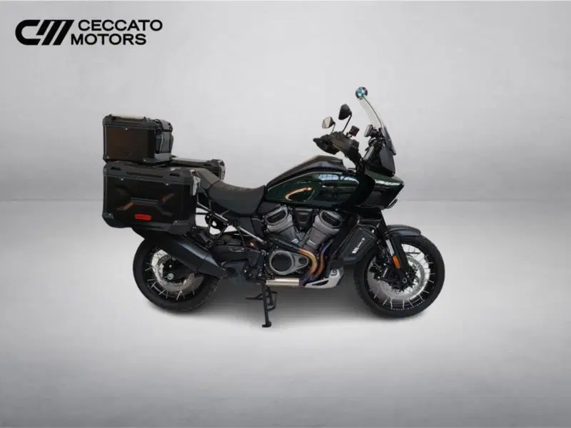 Harley-Davidson Pan America 1250 Special (2020 - 25) (3)