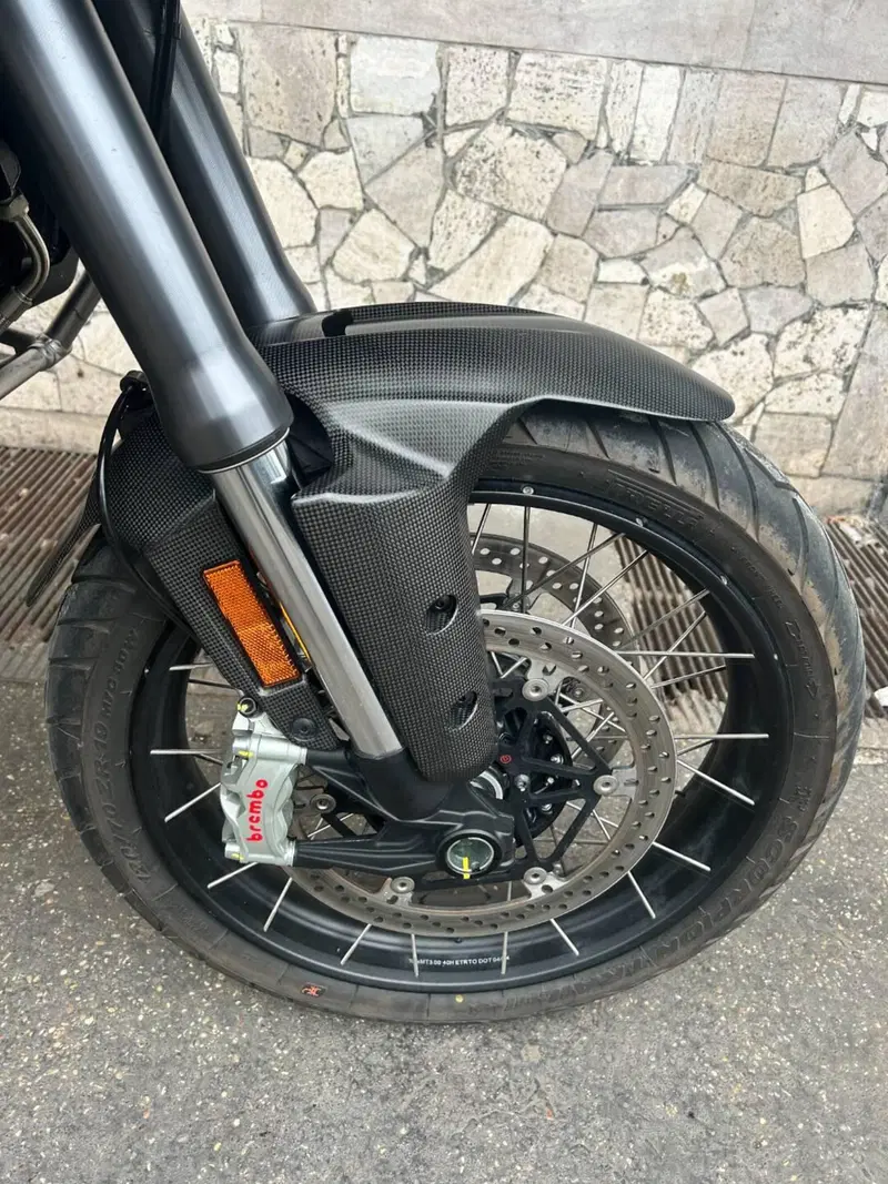 Ducati Multistrada V4 Rally (2023 - 25) (4)
