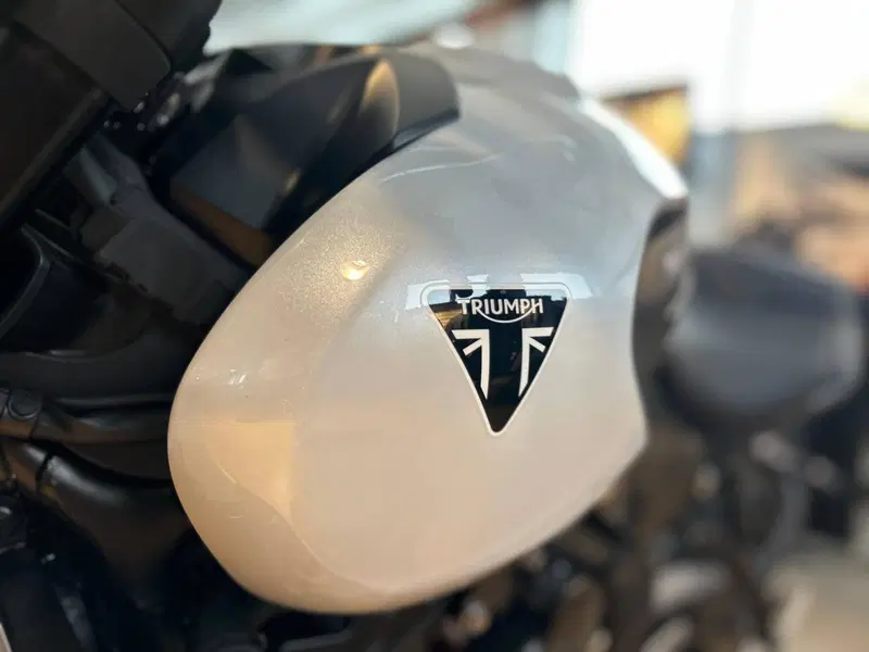 Triumph Trident 660 (2026) (12)
