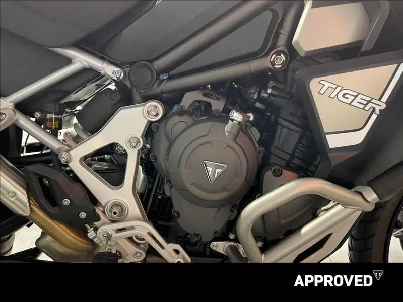 Triumph Tiger 1200 Rally Explorer (2024 - 26) (5)