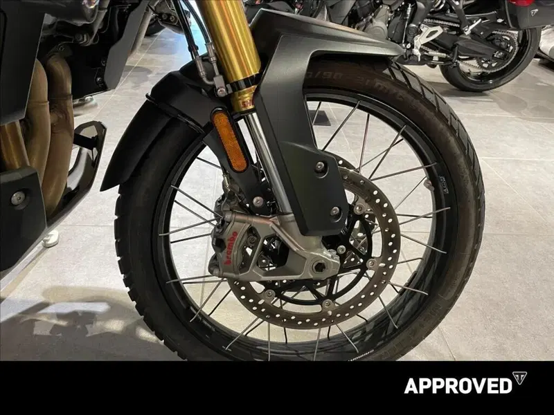 Triumph Tiger 1200 Rally Explorer (2024 - 26) (4)