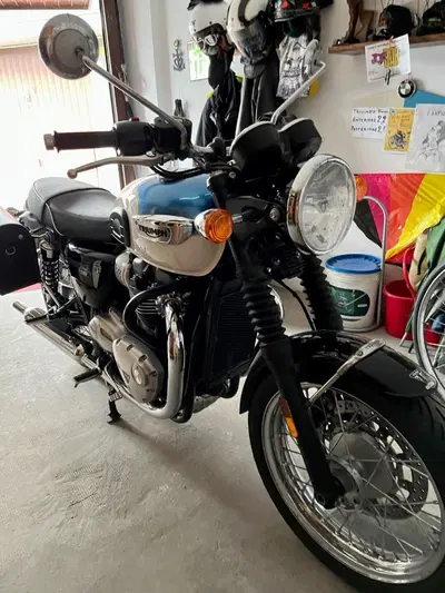 Triumph Bonneville T100 (2021 - 25) usata
