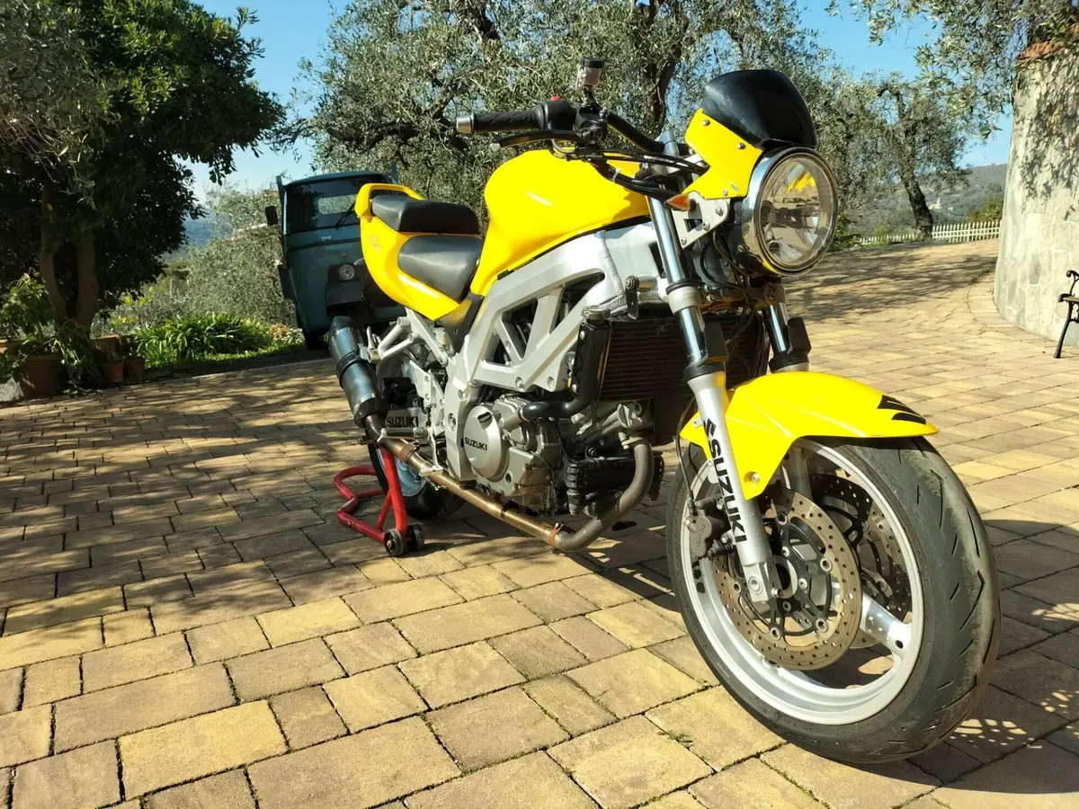 Suzuki SV 650 (2003 - 06) (9)