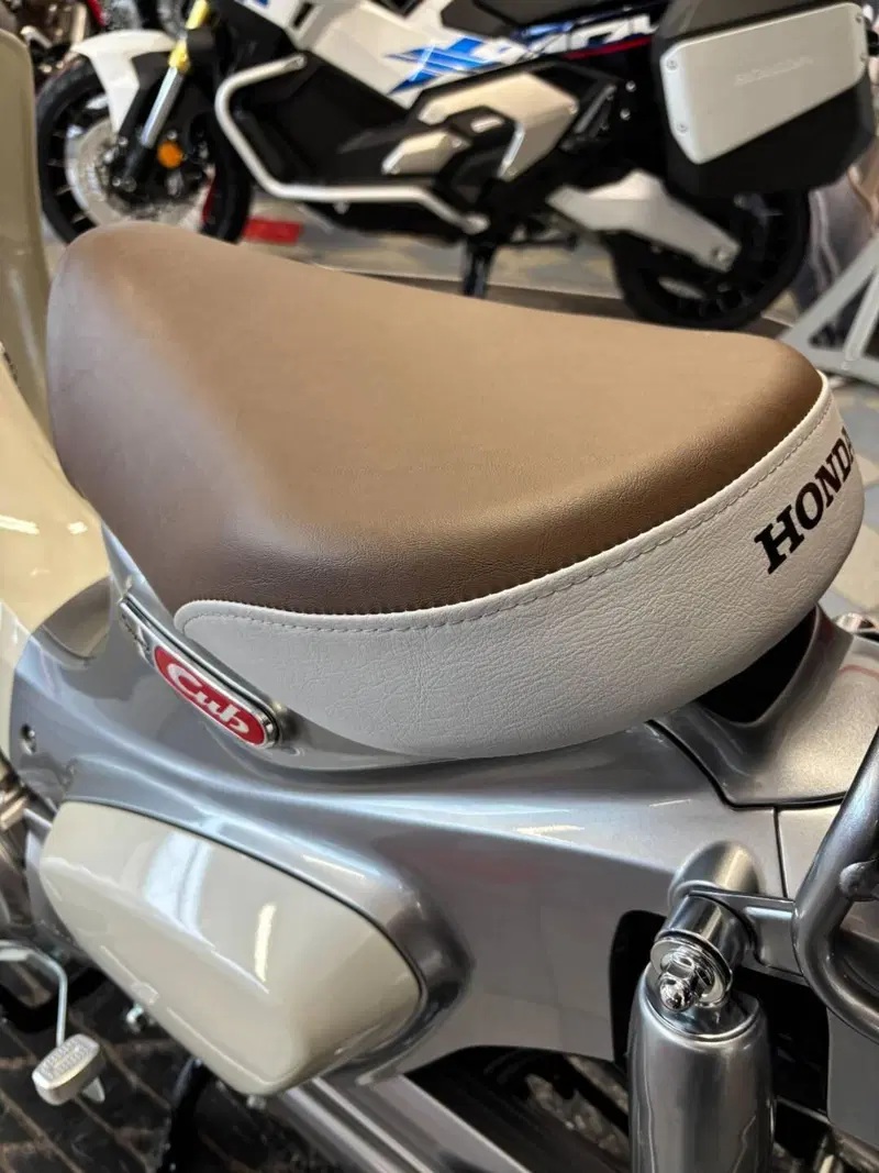 Honda Super Cub C125 (2022 - 24) (4)