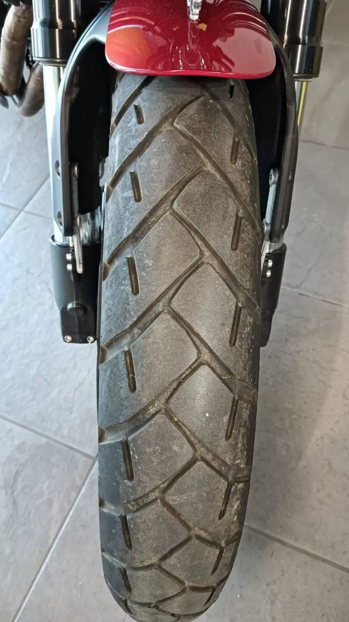 Benelli Leoncino 500 (2021 - 25) (9)