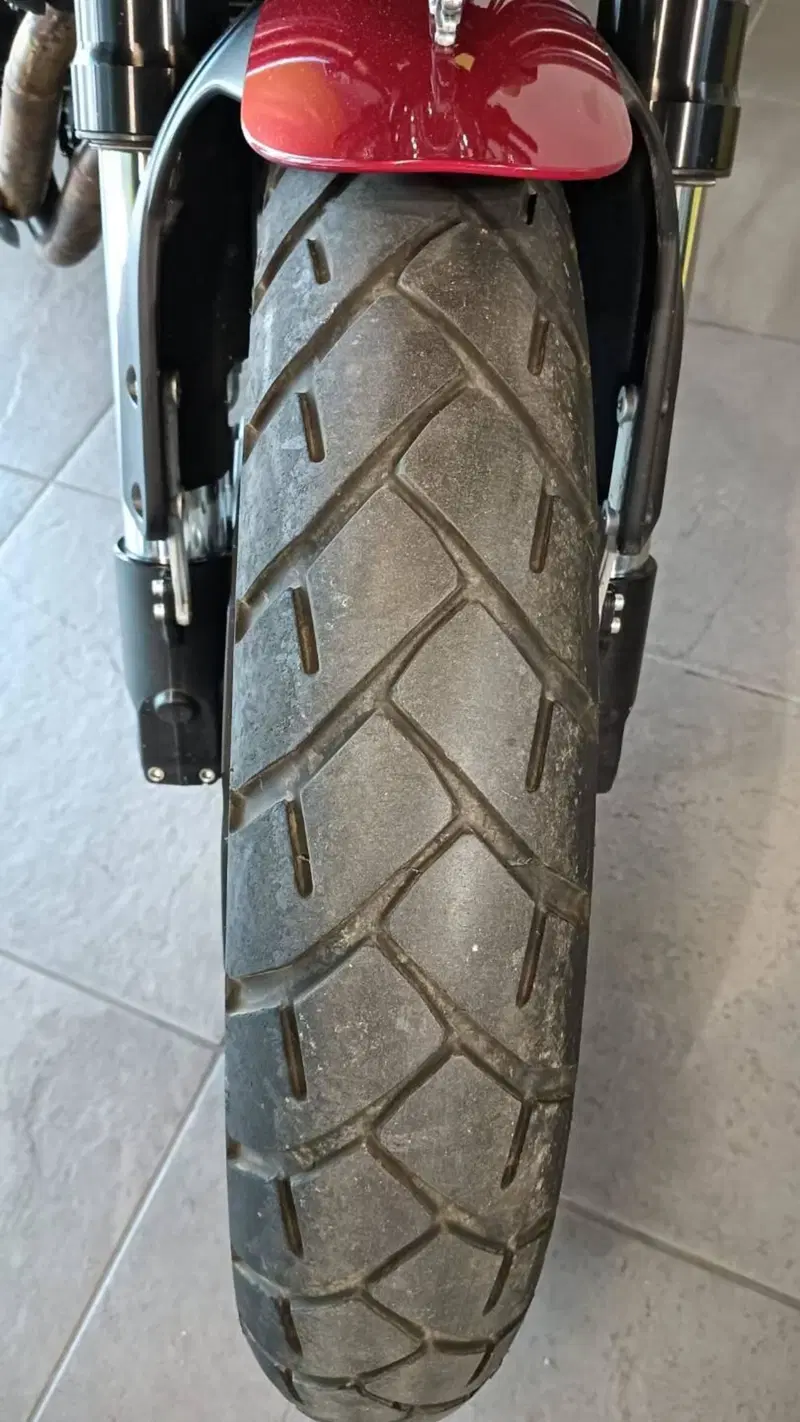 Benelli Leoncino 500 (2021 - 25) (9)