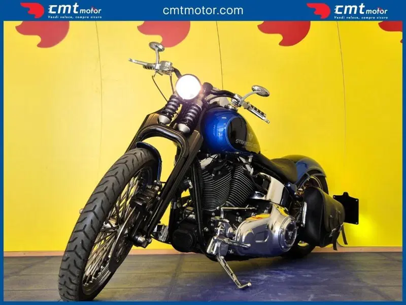 Harley-Davidson 1584 Custom (2008 - 09) - FXSTC (2)