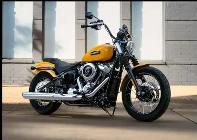 Harley-Davidson Street Bob 117 (2025 - 26) nuova