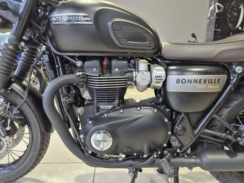 Triumph Bonneville T120 Gold Line Edition (2021) (9)