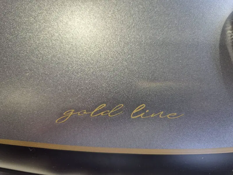 Triumph Bonneville T120 Gold Line Edition (2021) (15)